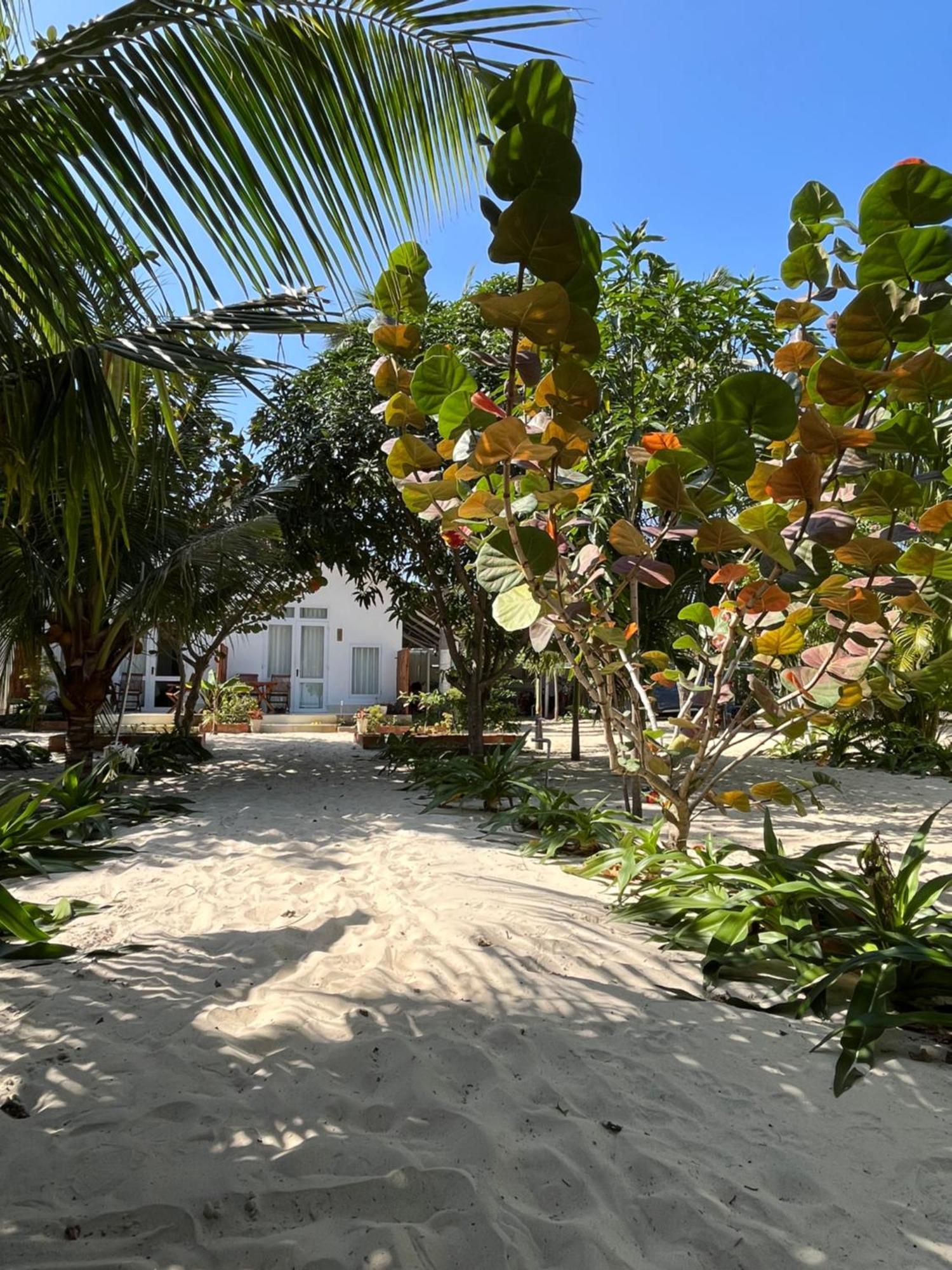 Robinson Beach Bungalow Vinh Hoa Екстер'єр фото