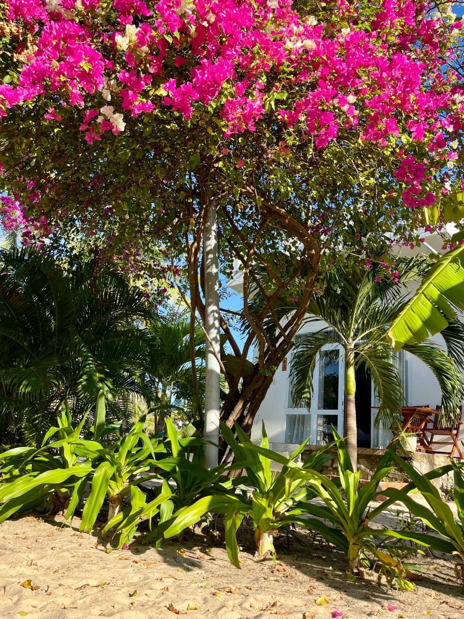 Robinson Beach Bungalow Vinh Hoa Екстер'єр фото